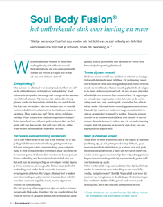 Soul Body Fusion® in Spiegelbeeld